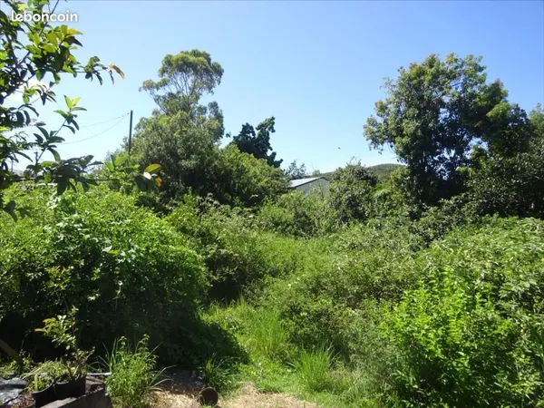 Terrain 2800 m² Saint-Pierre