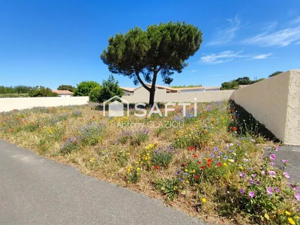 Terrain constructible / Libre de tout constructeur