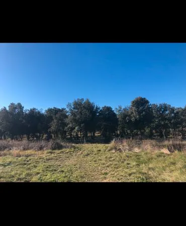 Terrain de loisir 8100 m2