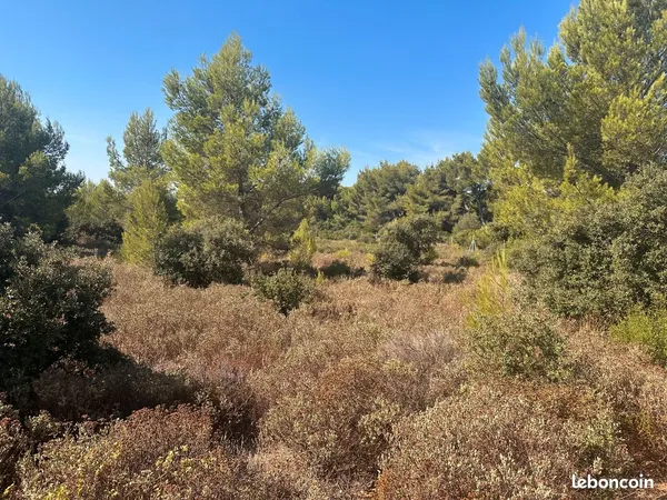 Vente terrain Mouriès