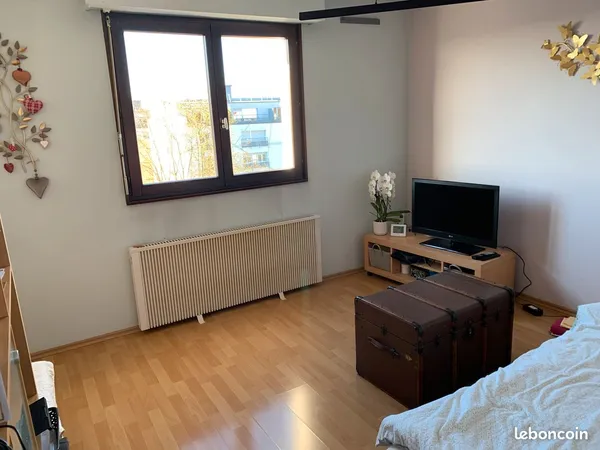 Appartement F1