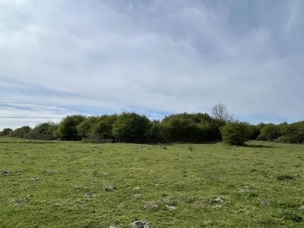 Terrain arboré à Cayeux-sur-Mer