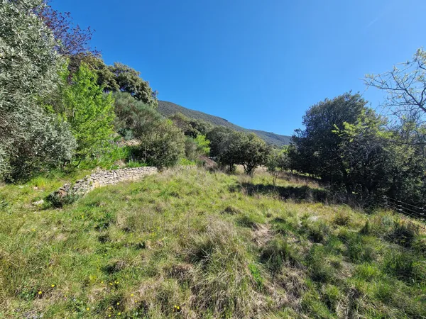 TERRAIN A VENDRE