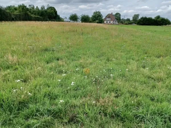 Terrain 1 660 m² Landepereuse