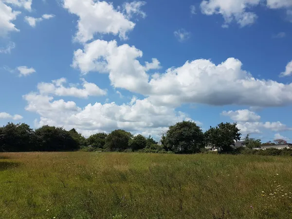 Terrain 578 m²