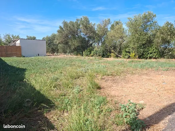 Terrain constructible