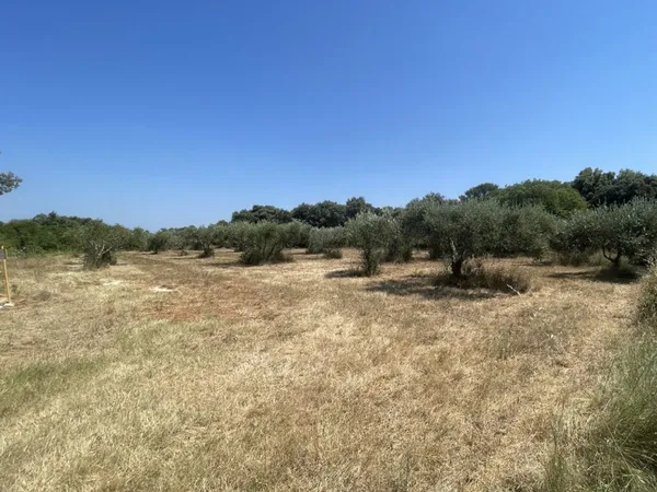 Terrain 1700 m²