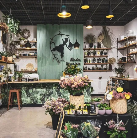 Fleuriste 1 pièce 113 m²