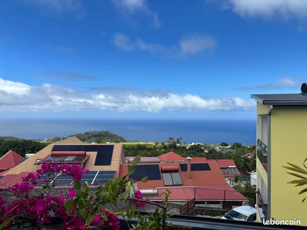 Colocation petite île