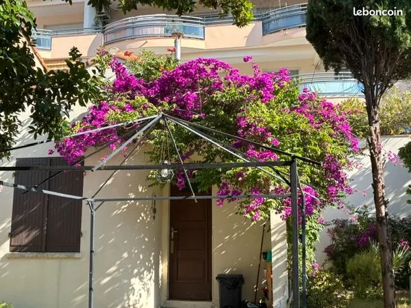 Appartement t 1 dansvilla independante avec jardinet en bord de plage pour 1 personne avec bailde 10