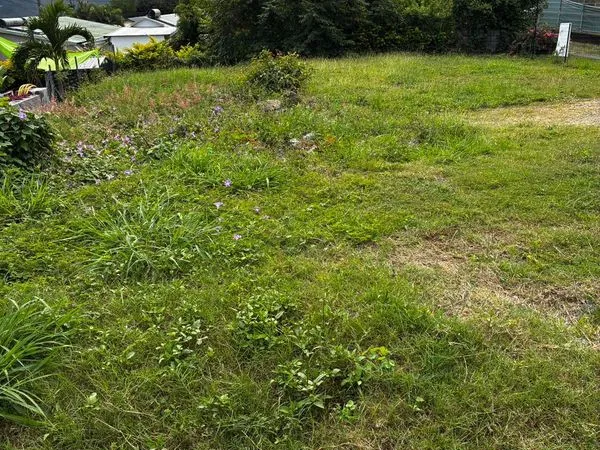 Terrain constructible
