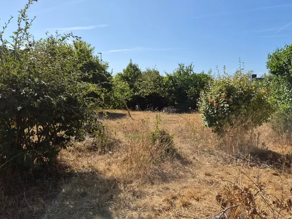 Terrain 460 m²