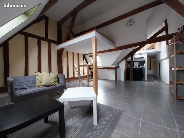 Appartement "type loft"