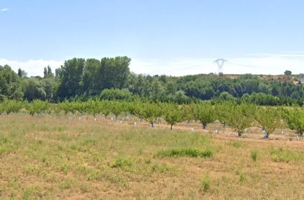 A LOUER (ou à vendre) Terrain agri/loisir de près d'1ha sur Chantemerle Les Blés