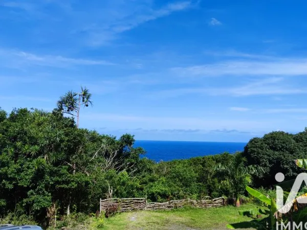 Terrain 439 m²