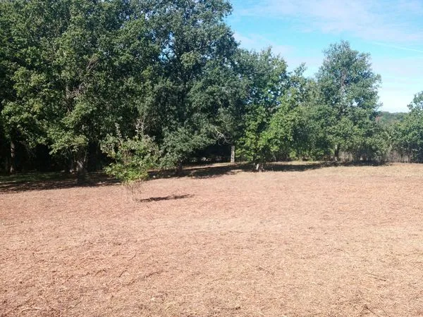 Terrain constructible viabilisé - 3 817 m² - Valençay (36)