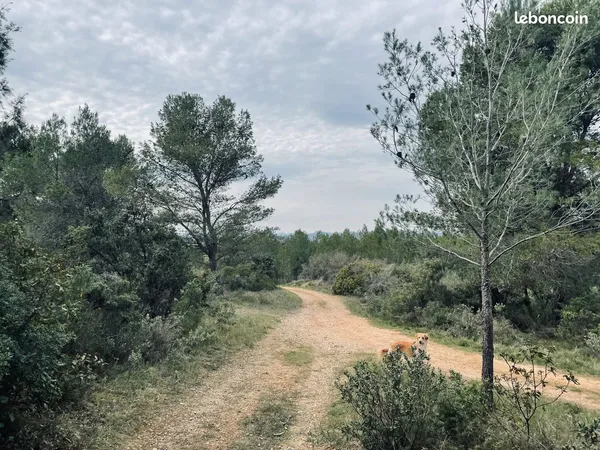 Grand terrain boisé, calme et accessible