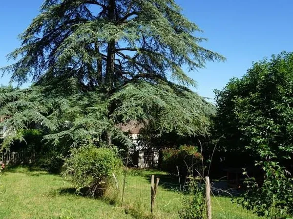 Maison 4 pièces 65 m²