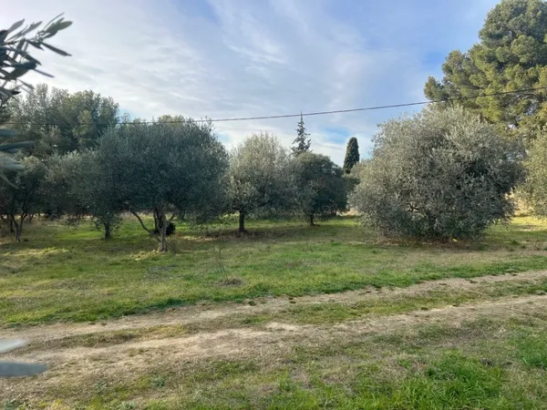Terrain 650 m²