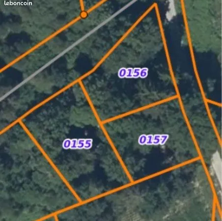 Terrain boisé