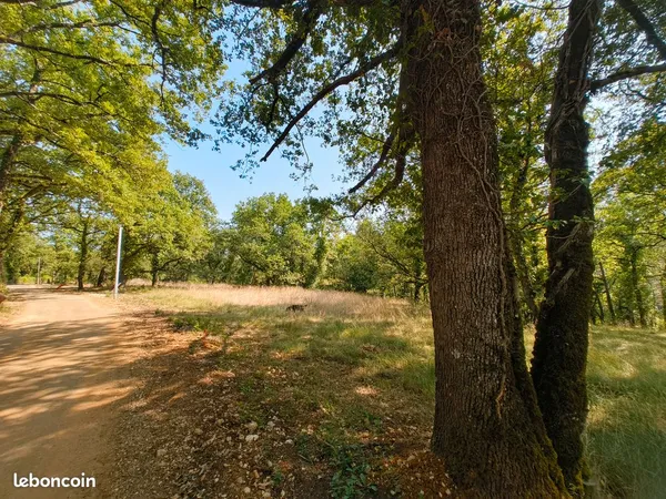 Terrain constructible viabilisé — 4 000 m² ou 2000 m2 — Le Vigan-en-Quercy (46300)