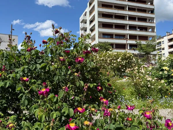 Loue appartement 88m²