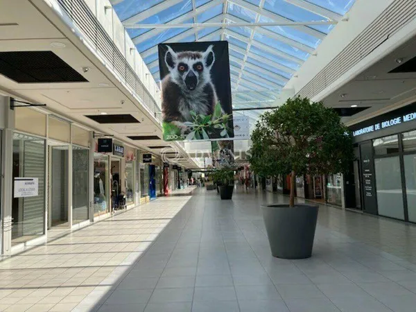 Local commercial 558 m²