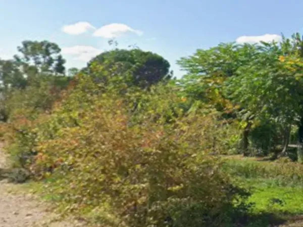 Terrain 740 m² Lisle-sur-Tarn