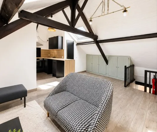 Appartement 1 chambre rénové 50m2 au sol - 30m2 carrez