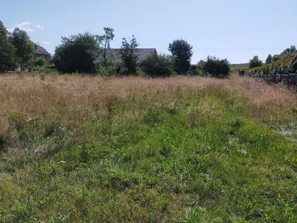 Terrain à bâtir