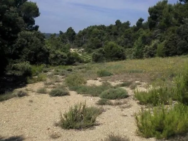 Terrain 4020 m²