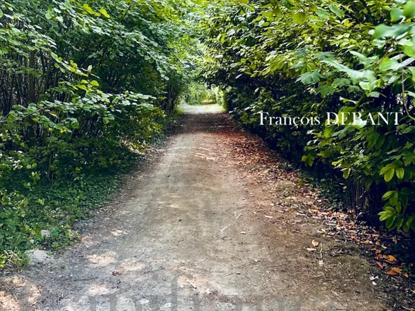 Terrain à vendre de 4 900,00 m² proche de REIMS (51)