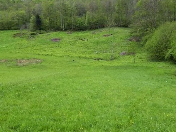 Terrain LA BRESSE