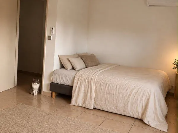 Chambre de 11m2 dans un T3
