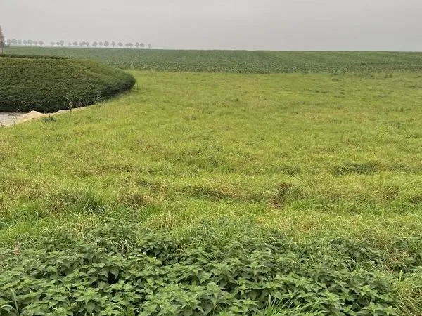 Terrain 1348 m² WAMBAIX