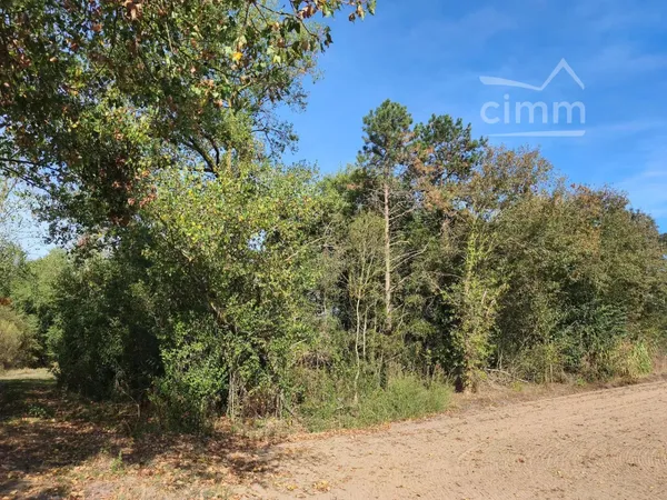 TERRAIN AVEC ABRI DE JARDIN – 678 m² – DENÉE