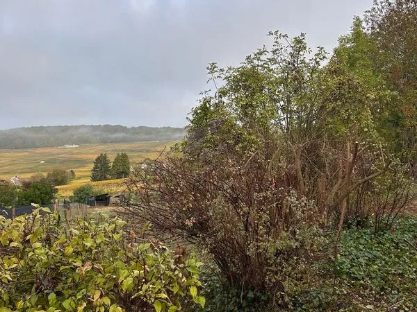 Terrain 1056 m² CHAMPILLON
