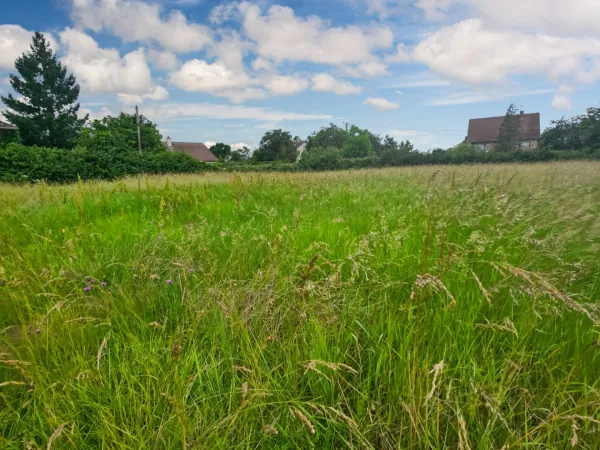Terrain 794 m²