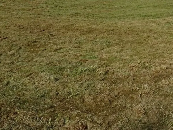 Terrain constructible 1750 m²