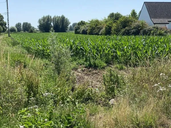 Terrain 650 m² WITTES