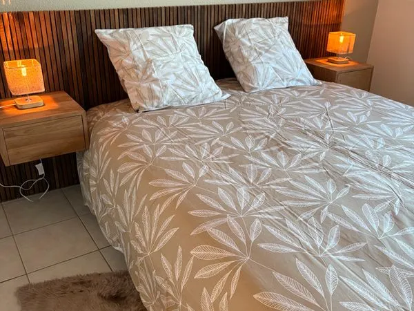 Magnifique T2 refait à neuf avec balcon