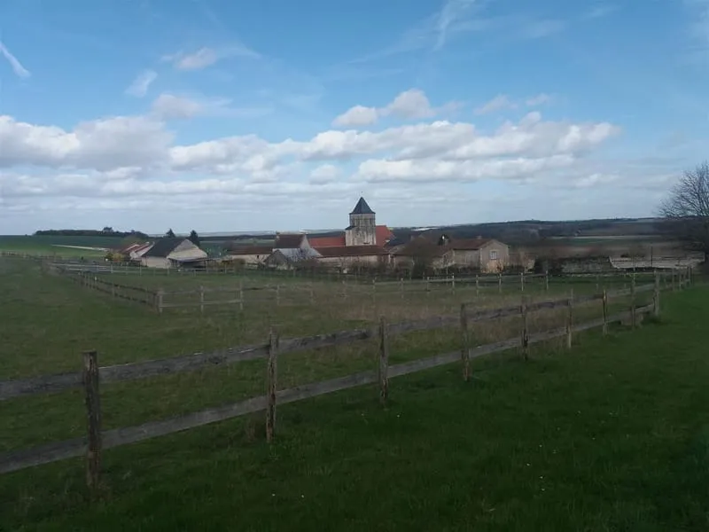 Photo 33