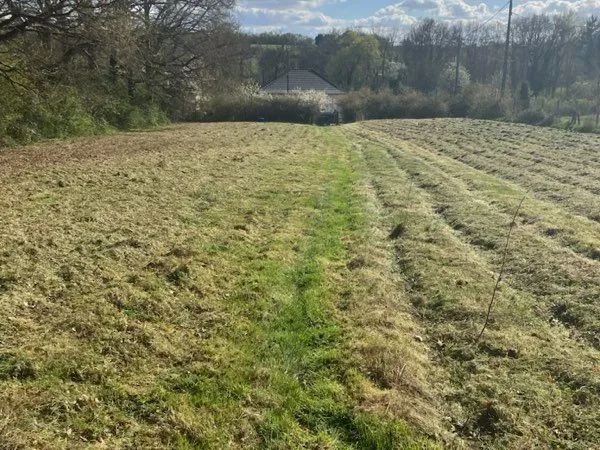 Terrain constructible d'environs 6.000 m2