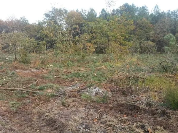Terrain 600 m²