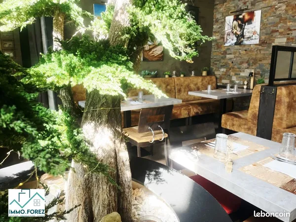 Brasserie, fonds de commerce 237 m² Feurs