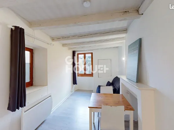 Appartement 1 pièce 20 m²