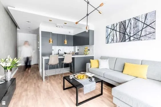 Appartement 1 pièce 26 m²