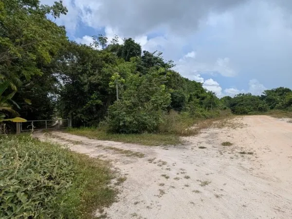 Terrain en individuel 5000 m²