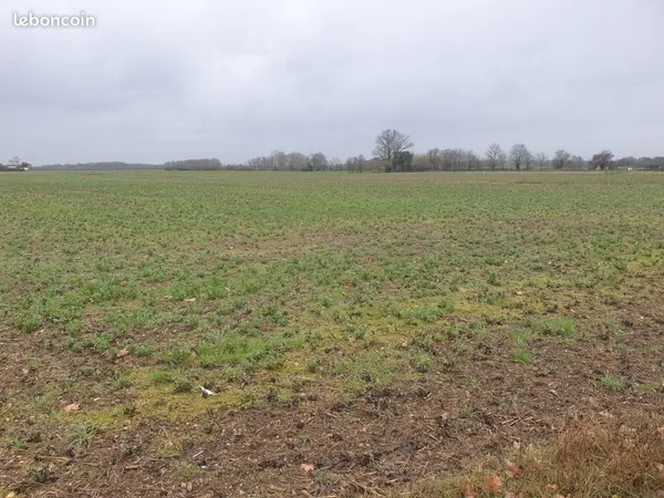 Terrain 500 m² Sadirac