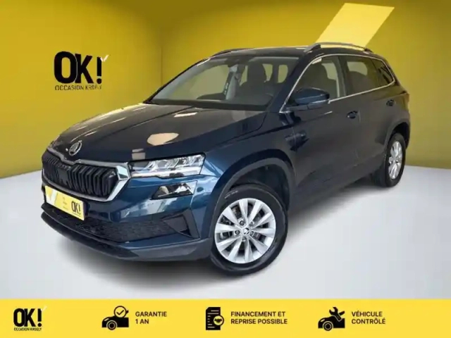 Skoda Karoq style ambition car play caméra — photo 1